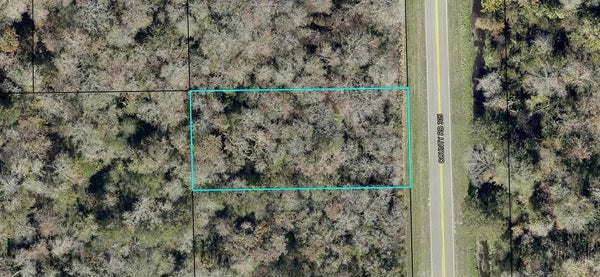 2204 COUNTY RD 305, BUNNELL, FL 32110 - Image e131f4fbf059bcfade512e4c10c0c581/1296431345