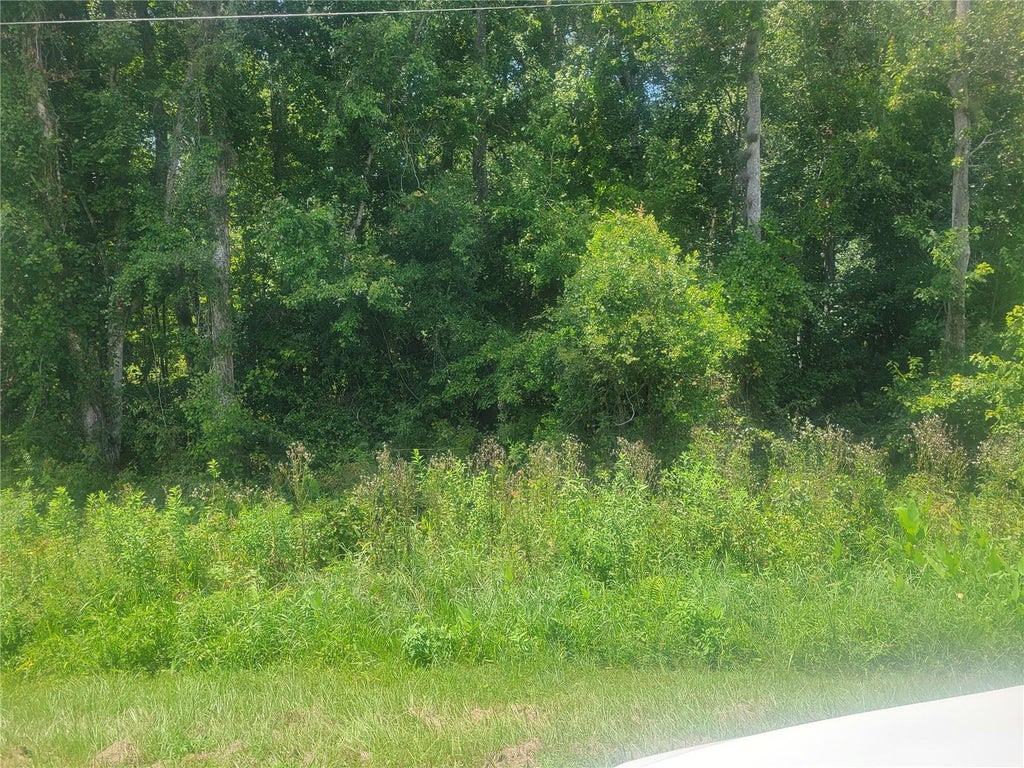 Photo of 2204 Cr-305, Bunnell, FL 32110 (MLS # FC321045)