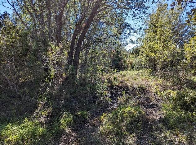 5570 JUEL GILL ROAD