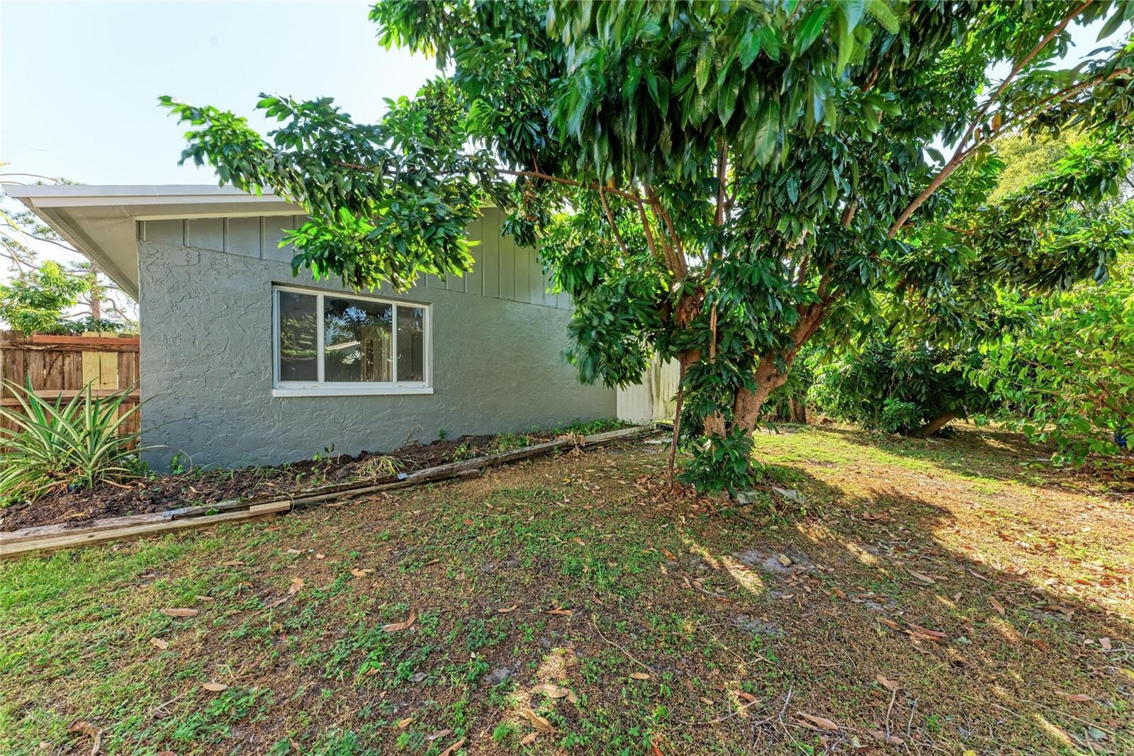 LAKE SARASOTA - Residential