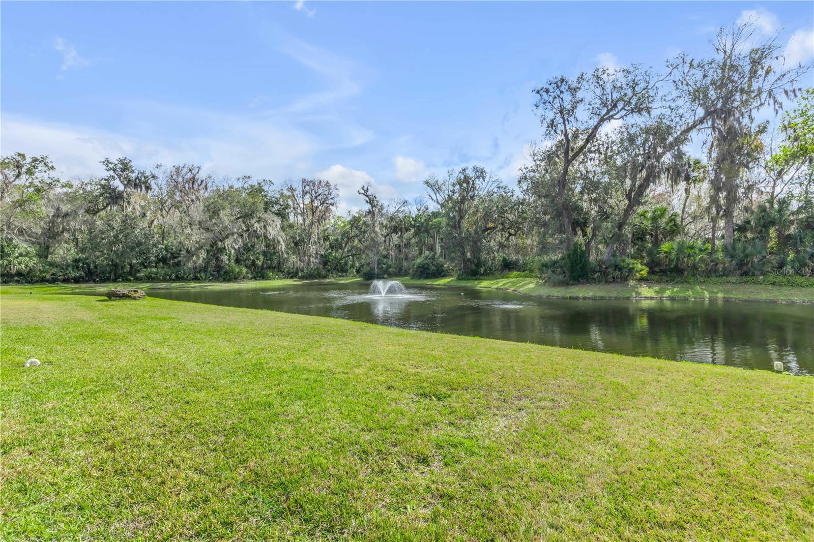 LIBERTY VILLAGE SUB - Residential