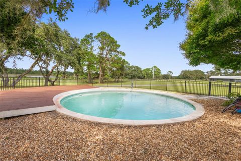 Tiny photo for 42554 Maggie Jones Road, Paisley, FL 32767 (MLS # V4947070)