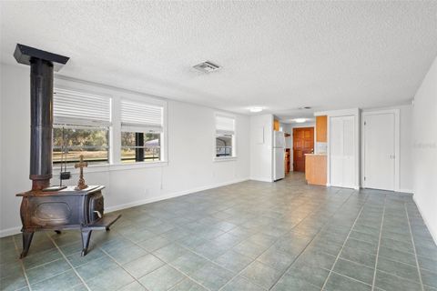 Tiny photo for 42554 Maggie Jones Road, Paisley, FL 32767 (MLS # V4947070)