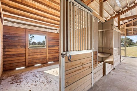 Tiny photo for 42554 Maggie Jones Road, Paisley, FL 32767 (MLS # V4947070)