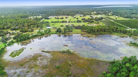 Tiny photo for 42554 Maggie Jones Road, Paisley, FL 32767 (MLS # V4947070)