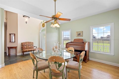 Tiny photo for 42554 Maggie Jones Road, Paisley, FL 32767 (MLS # V4947070)