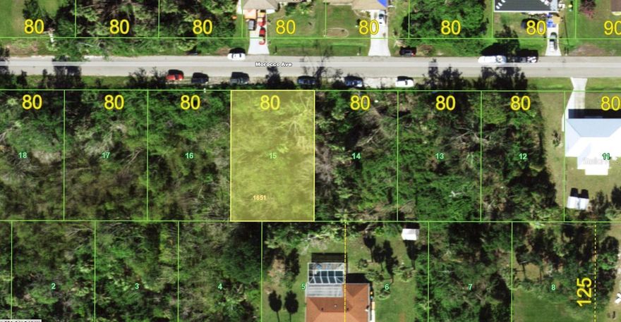 Buildable residential lot located in an established area of Port Charlotte, surrounded by existing homes and ongoing development. The property sits on a paved road with electricity available on the street.