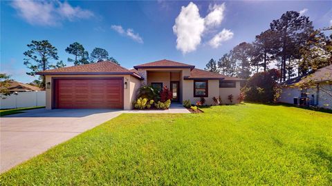 A home in PALM COAST