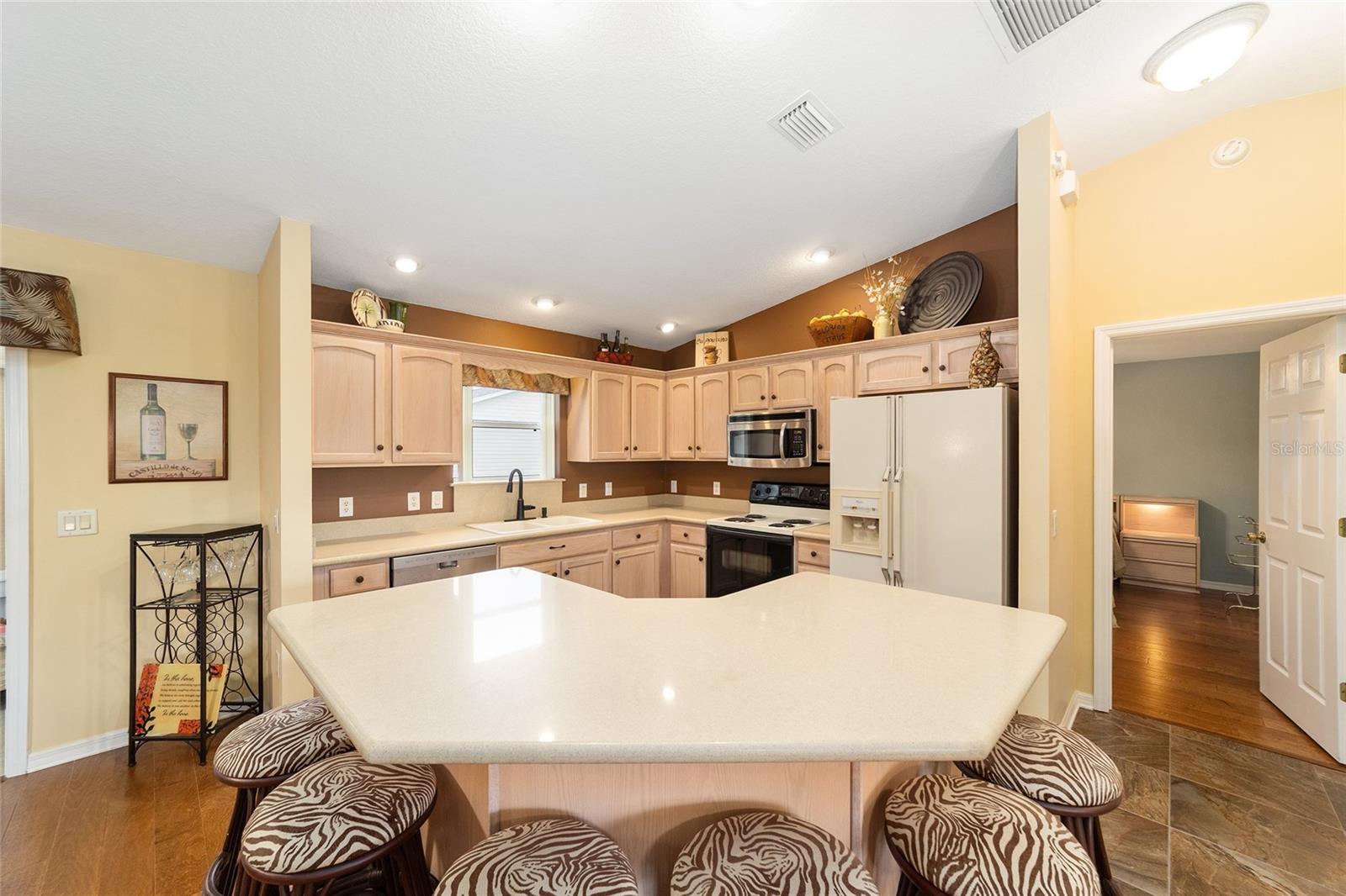 VILLAGES OF SUMTER - Residential