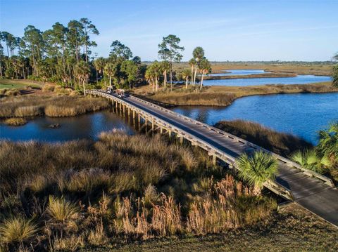 A home in PALM COAST