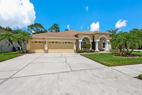 A home in TAMPA