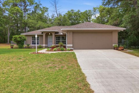 Photo of 431 W Mac Place, Citrus Springs, FL 34434 (MLS # TB8504101)