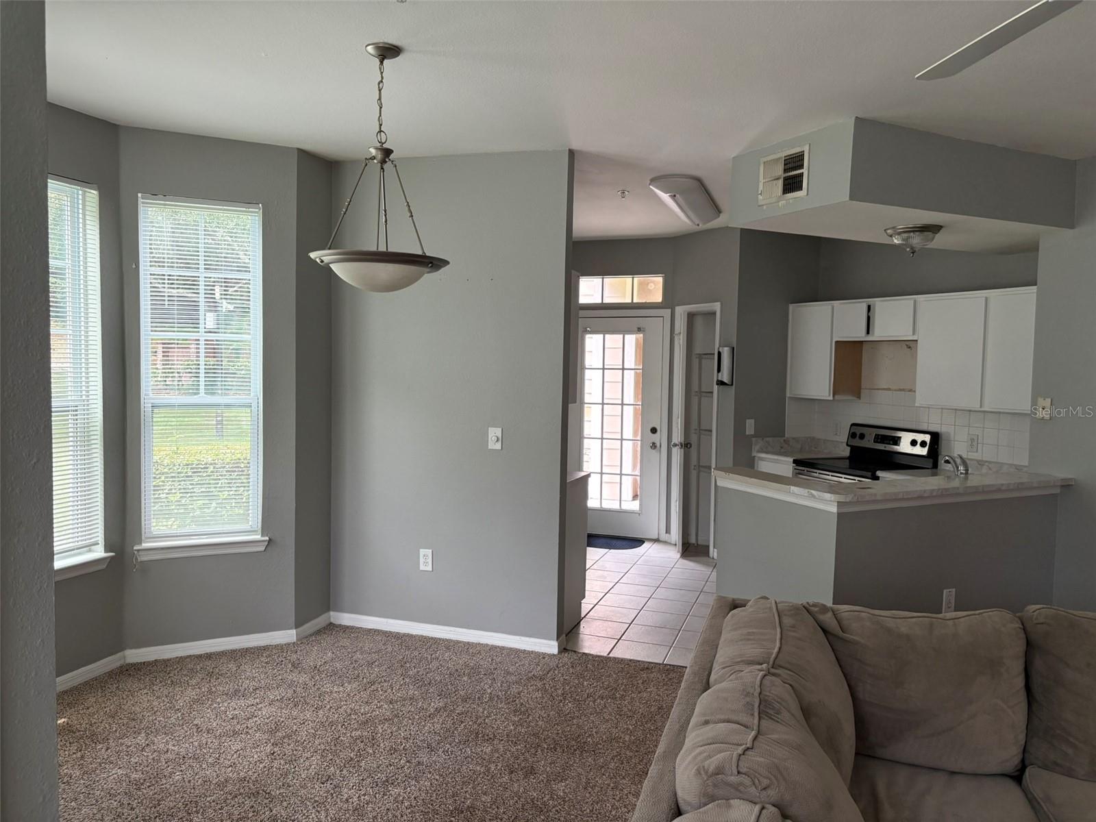 1101 VINTAGE VILLAGE LANE 110