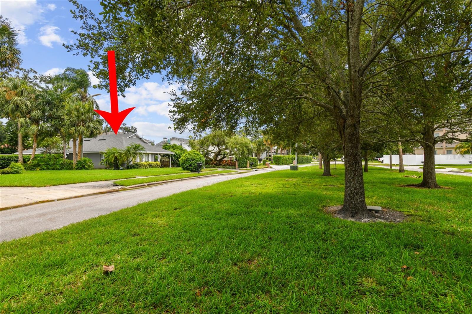 ***LAND VALUE*** SOUTH TAMPA'S MOST LUXURIOUS HOME SITE! ZONED TOP RATED SCHOOLS.... Plant High School , Coleman Middle and Grady Elementary!!! PRIME REAL ESTATE! GREEN SPACE ACROSS THE STREET PROVIDING A FANTASTIC WILDERNESS ATMOSPHERE.... some call it HALE AVENUE PARK! BUILD A CUSTOM HOME AND GAIN IMMEDIATE EQUITY!! NO TREE ISSUES!!! One of the finest meticulous street within South Tampa! Captivating custom homes, gorgeous mature oaks, magical Crape Myrtles to enjoy the serenity & essence of South Tampa! Evening strolls through the whimsical neighborhood on the pristine sidewalks of South Tampa! OVERSIZED median with green space to give the illusion of country living! PRIME REAL ESTATE! SPACIOUS GREEN SPACE TO ENJOY time with your furry friends or playing ball with the little ones!! Live among the grand Estate homes of South Tampa. Custom builders will love to design their very own on this home site. 116 S. Hale homesite is located in the most sought after neighborhood of South Tampa! PRIME REAL ESTATE! Sensational opportunity to customize your palace on a pristine home site. Incredible location to Tampa's popular Westshore business district! Easy 10 minute drive to Tampa International Airport! Hyde Park, Channel-side district, Bayshore Blvd and downtown .... only minutes away! Ask for our builder contact list to create a masterpiece on this ONE OF A KIND homesite! *** PRIME REAL ESTATE! Existing home on site was affected by the storms of 2024...... 1961 SQ FT heated requiring full rehabilitation ***