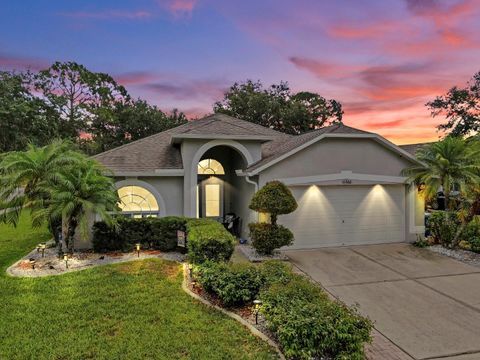 11302 CRANE LAKE COURT RIVERVIEW FL 33569