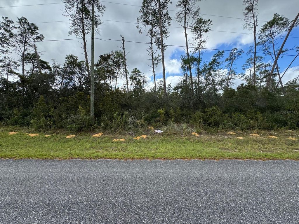 Photo of 4354 W Findlay Street, Citrus Springs, FL 34433 (MLS # O6355351)