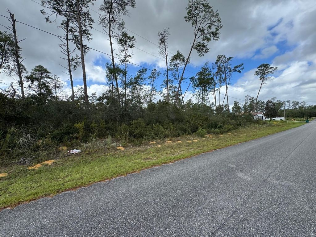 Photo of 4354 W Findlay Street, Citrus Springs, FL 34433 (MLS # O6355351)