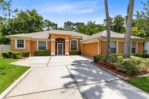 9330 SHADOW PINAR COURT ORLANDO FL 32825