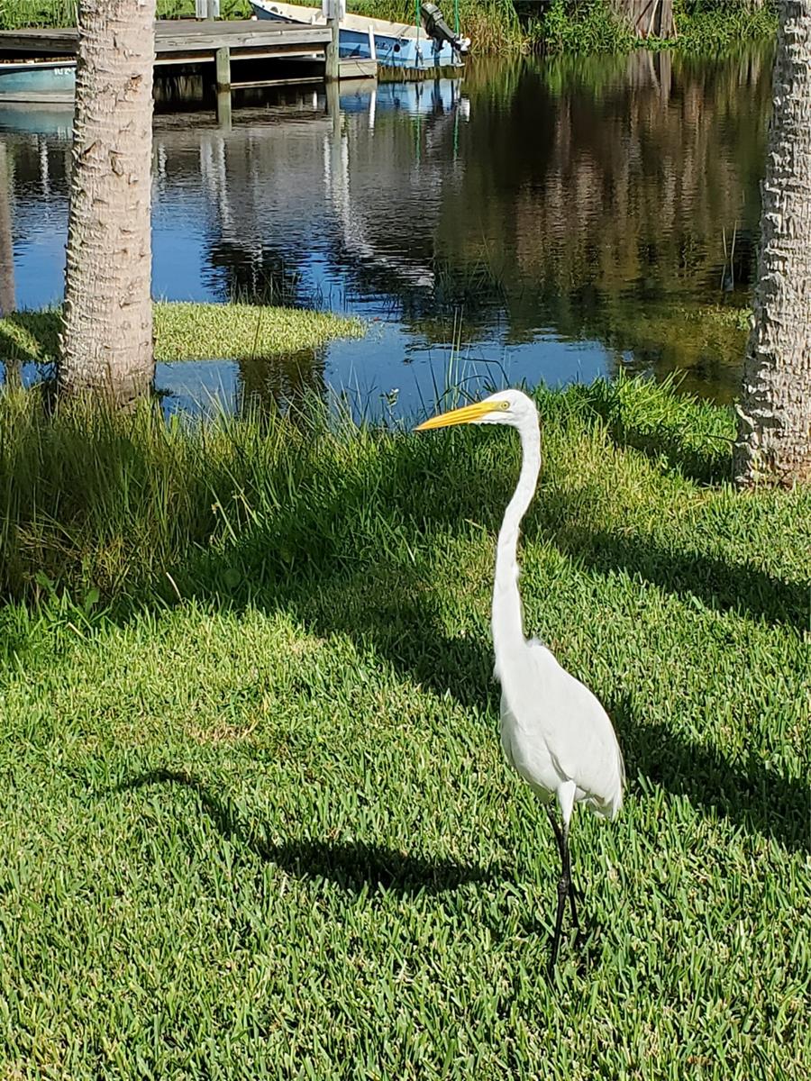 Pine Island Ph 02 - Residential