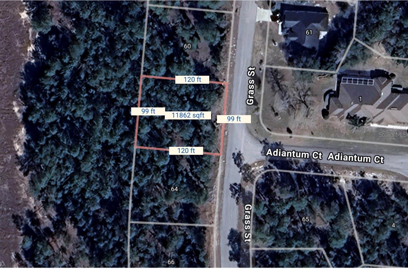 Incredible opportunity to own a slice of land in SUGARMILL WOODS OAK VILLAGE community in HOMOSASSA! Located on 64 GRASS STREET this buildable, lot has plenty of potential. Come and build your new home on this 0.28-acre lot! Sugarmill Woods community has two pools, pickleball courts, a golf course, tennis courts, shuffleboard, fitness center. With the newly expanded Suncoast Parkway just minutes away, you’ll have seamless access to Land O’ Lakes, Tampa, the Gulf of Mexico, and more. Whether you're looking to invest, develop, or build your dream residence, this rare opportunity is ready for your vision. Don’t miss your chance to own a buildable, vacant lot with endless potential! *OTHER LOTS ON THE SAME STREET ARE FOR SALE AS WELL (62 GRASS ST, 53 GRASS ST, 55 GRASS ST) *