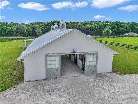 Tiny photo for 2945 NW 131st Street, Reddick, FL 32686 (MLS # OM703583)