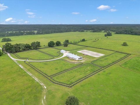 Tiny photo for 2945 NW 131st Street, Reddick, FL 32686 (MLS # OM703583)