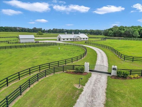 Tiny photo for 2945 NW 131st Street, Reddick, FL 32686 (MLS # OM703583)