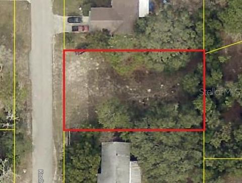 KNOLLWOOD DRIVE RIDGE MANOR FL 33523