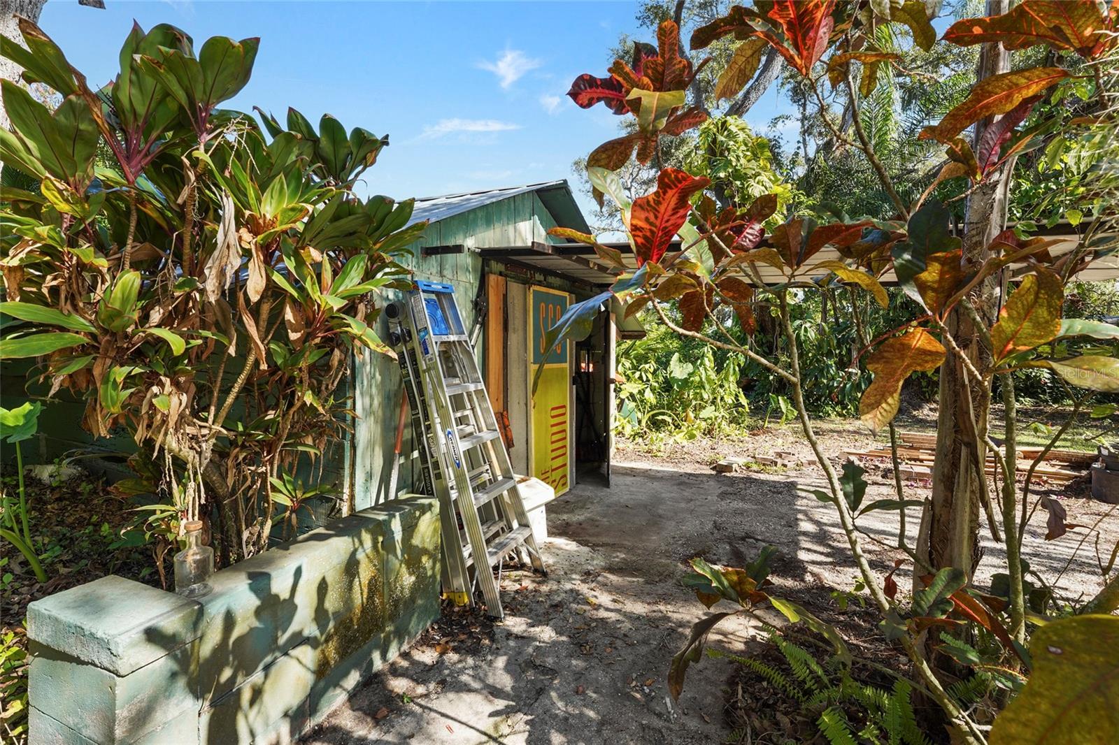 PALM GROVE - Residential