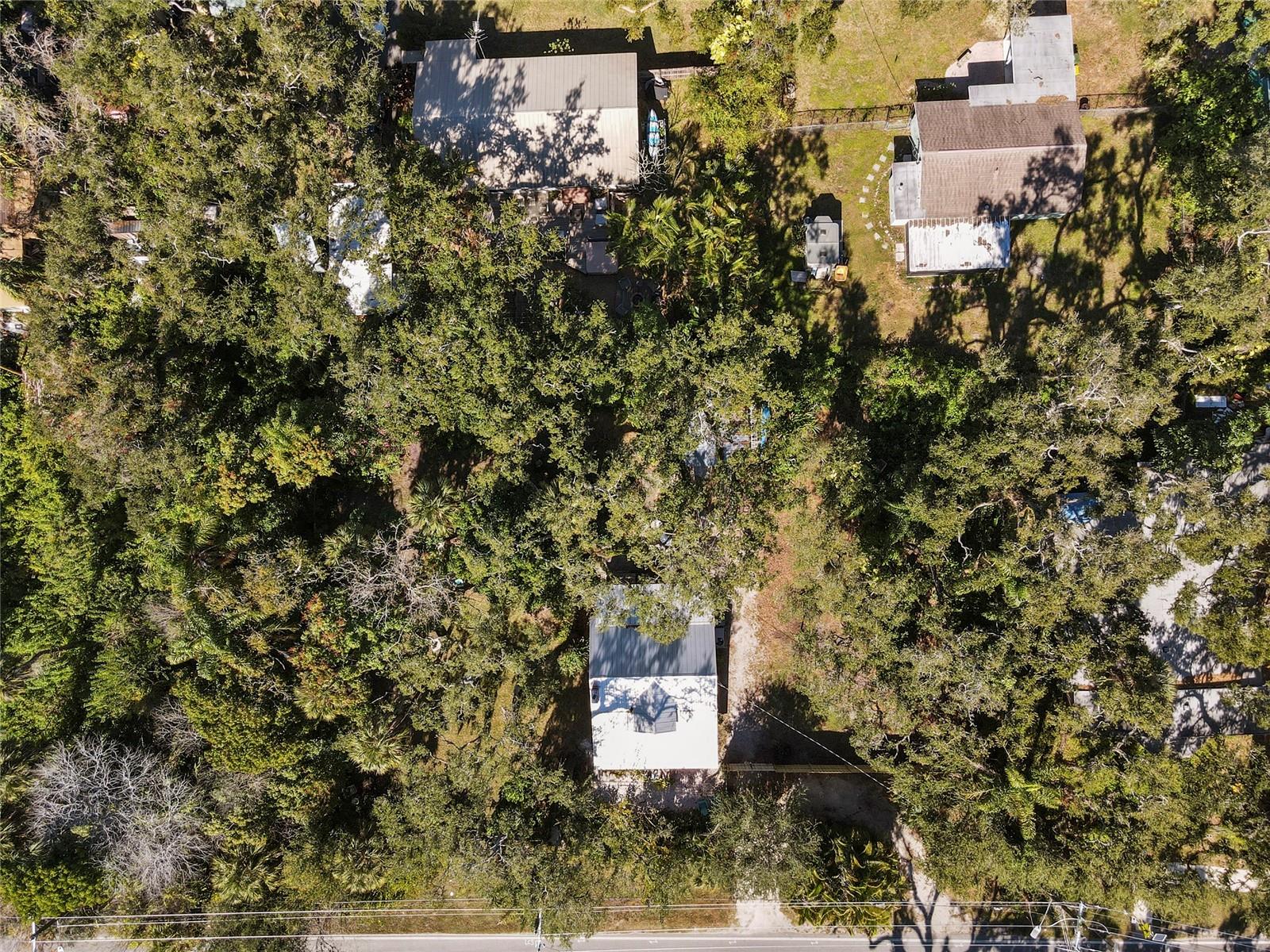 PALM GROVE - Residential