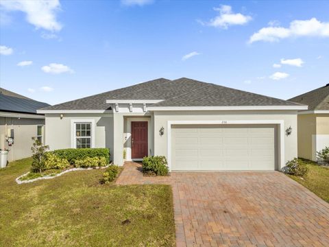 A home in HAINES CITY