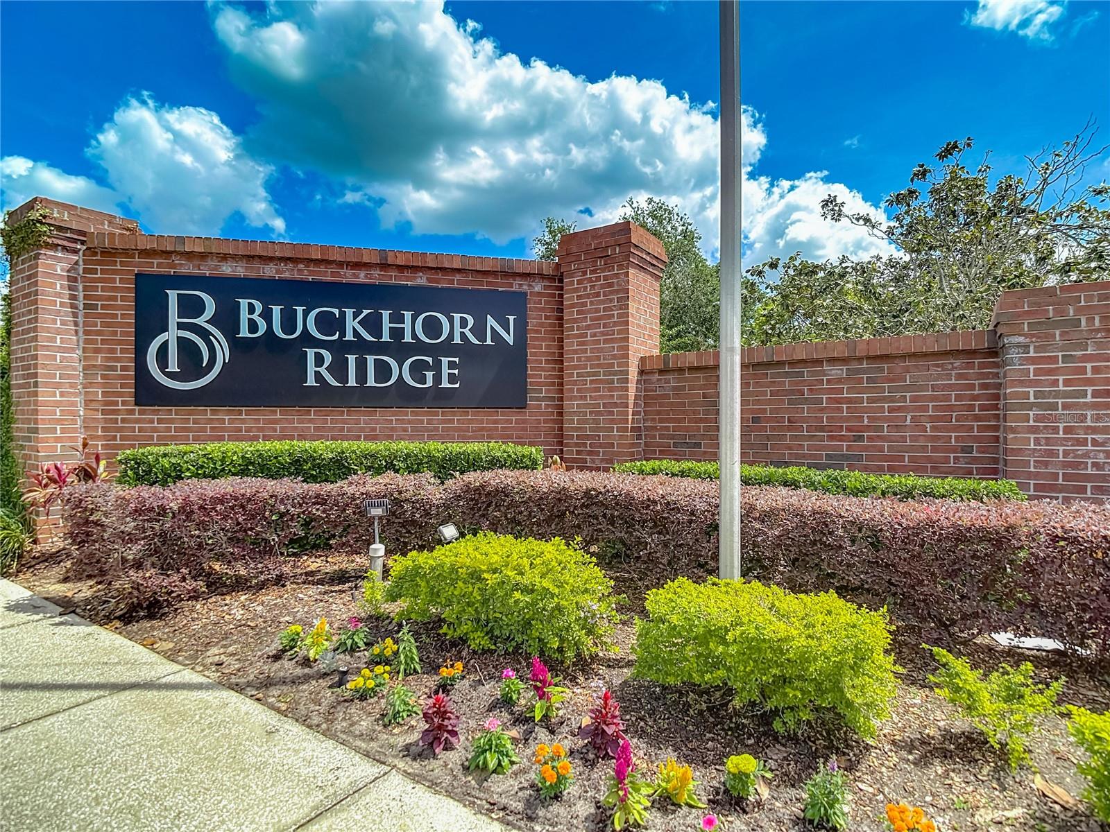 4426 BRANDON RIDGE DRIVE