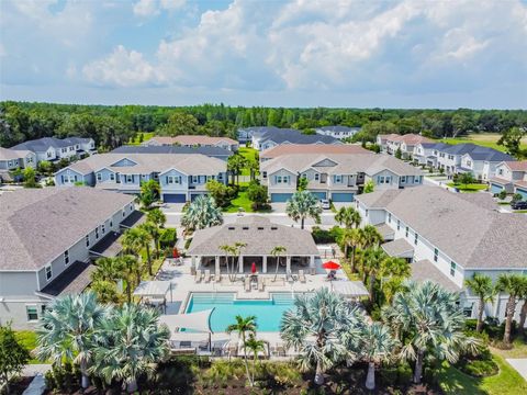 1018 ROSE BLOSSOM COURT TAMPA FL 33613