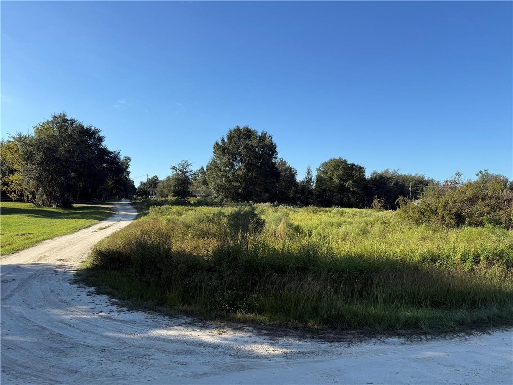 Photo of Tbd SW 100th Lane, Dunnellon, FL 34432 (MLS # OM734409)
