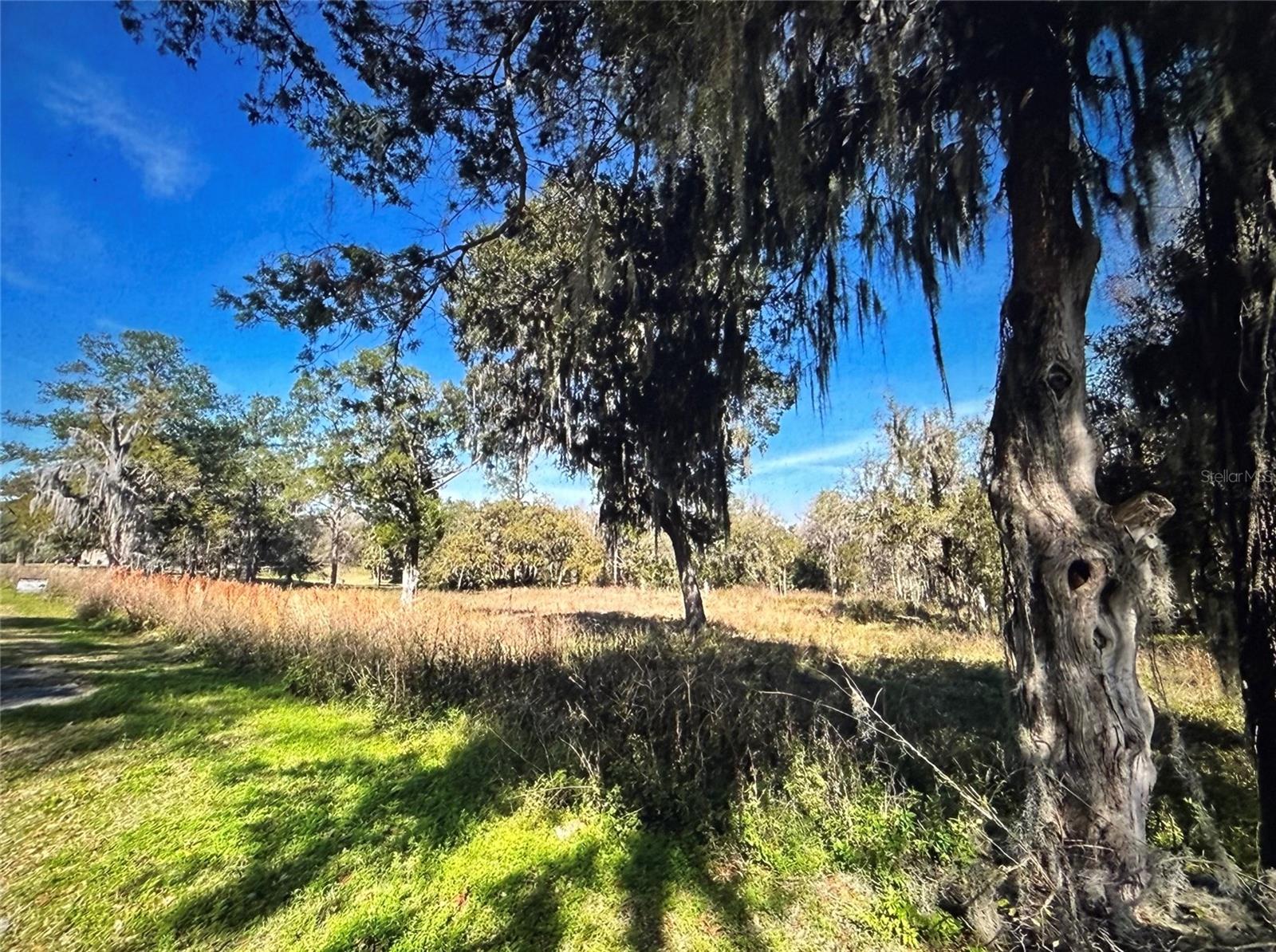 FANTASTIC OPPORTUNITY TO BUILD YOUR DREAM HOME OR INVEST IN ONE OF OCALA'S MOST DESIRABLE AREAS! This impressive 2.52 acre lot is located in the sought-after SUMMIT 2 subdivision,a well-established community with paved road access and low annual HOA fee of only $500.00.Ideally situated in the fast-growing Southwest corridor of Ocala,this property offers the perfect blend of peace and convenience-close to top-rated schools, hospitals, shopping and major roads.Whether you're looking to create a custom residence or secure valuable investment, this parcel present a solid opportunity in high-demand location where property value continue to rise.Don't miss your chance-contact me today for more information. Deed restrictions under paper clip.