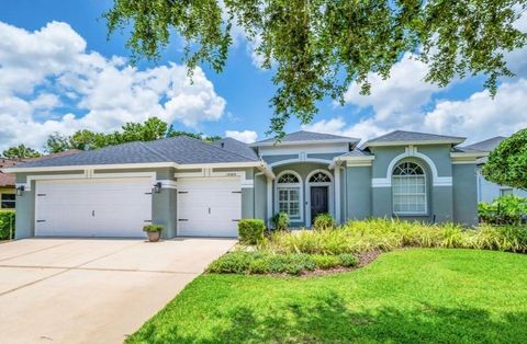 15309 PALOMAPARK LANE LITHIA FL 33547