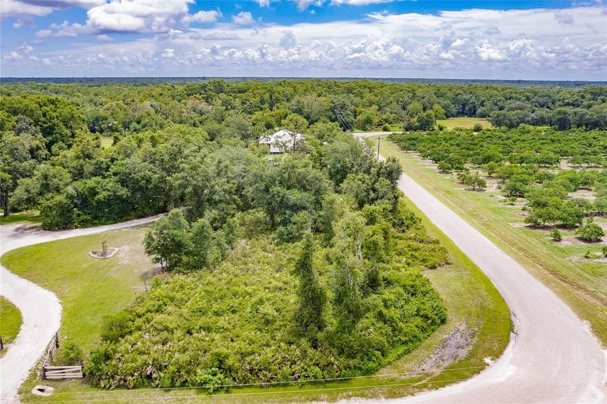 Peaceful 0.88-acre parcel on SW Gator Trail in Arcadia. Located in a quiet, rural setting with no HOA, this property offers flexibility and privacy with easy access to town.  Enjoy the beauty of Southwest Florida living—space, sunshine, and a slower pace.