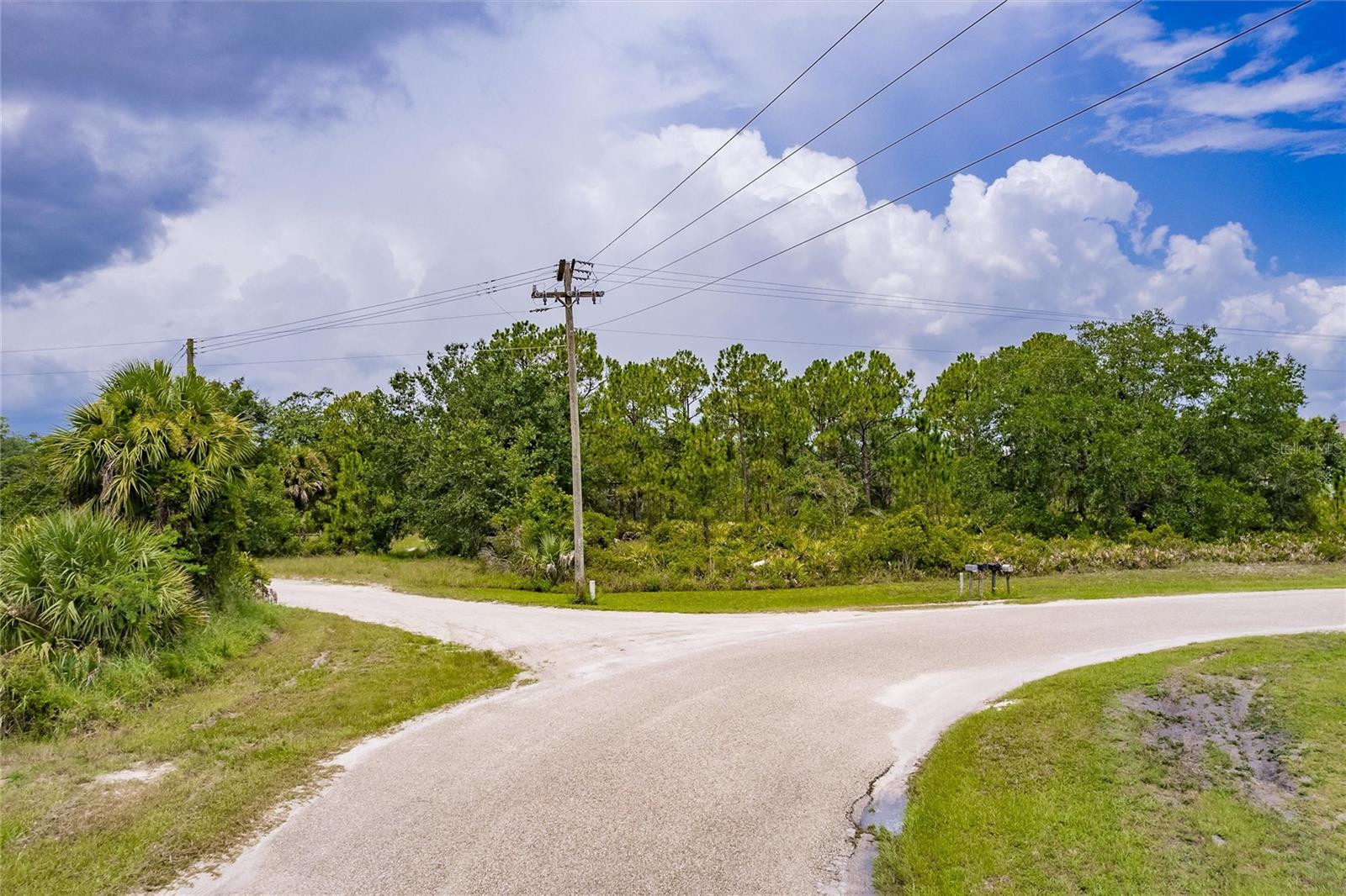 SW GATOR TRAIL