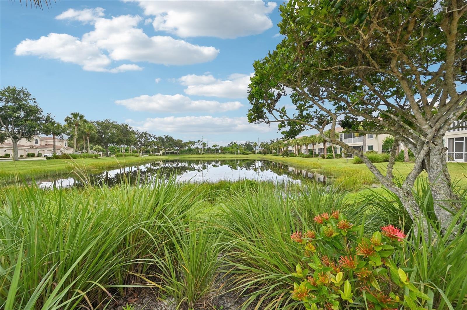 ARIELLE ON PALMER RANCH - Residential Lease