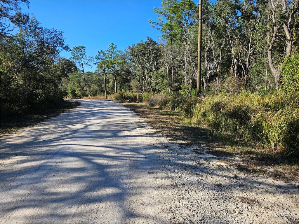 Photo of Berryhill Drive, Webster, FL 33597 (MLS # TB8455338)