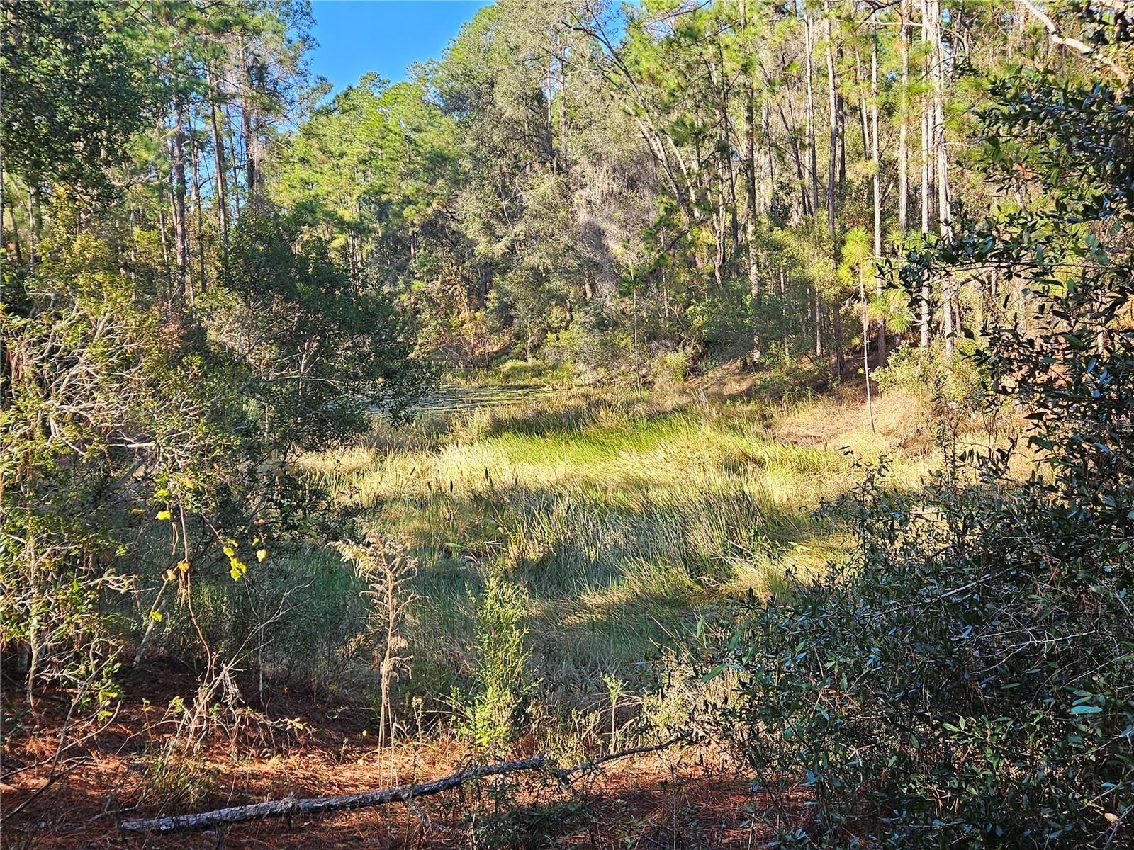 RIDGE MANOR ESTATE - Land