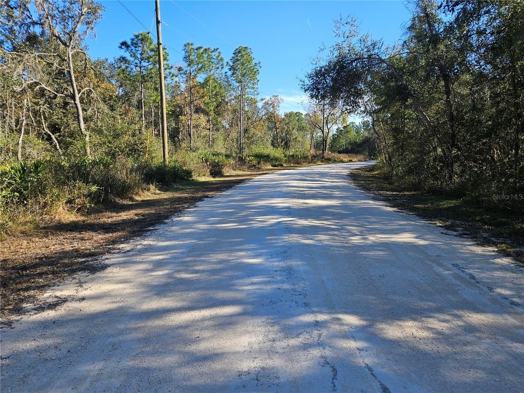 Photo of Berryhill Drive, Webster, FL 33597 (MLS # TB8455338)