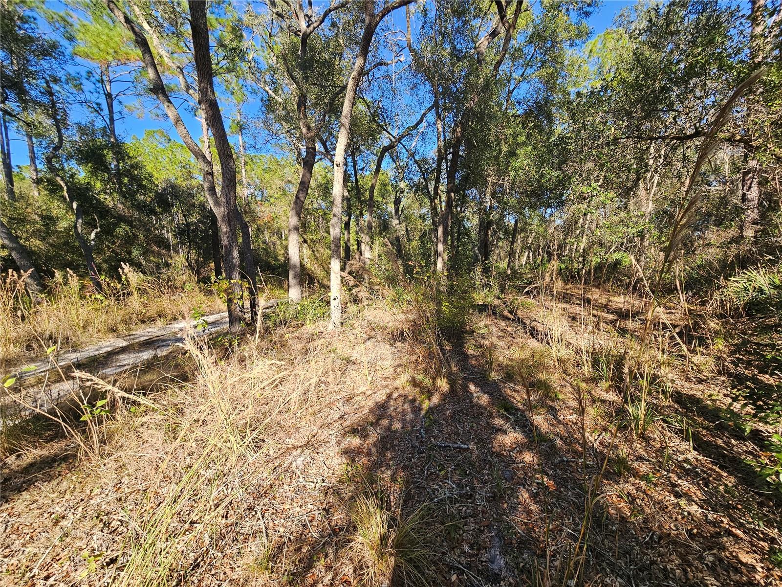 RIDGE MANOR ESTATE - Land