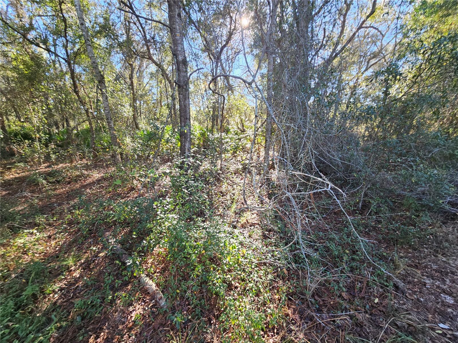 RIDGE MANOR ESTATE - Land