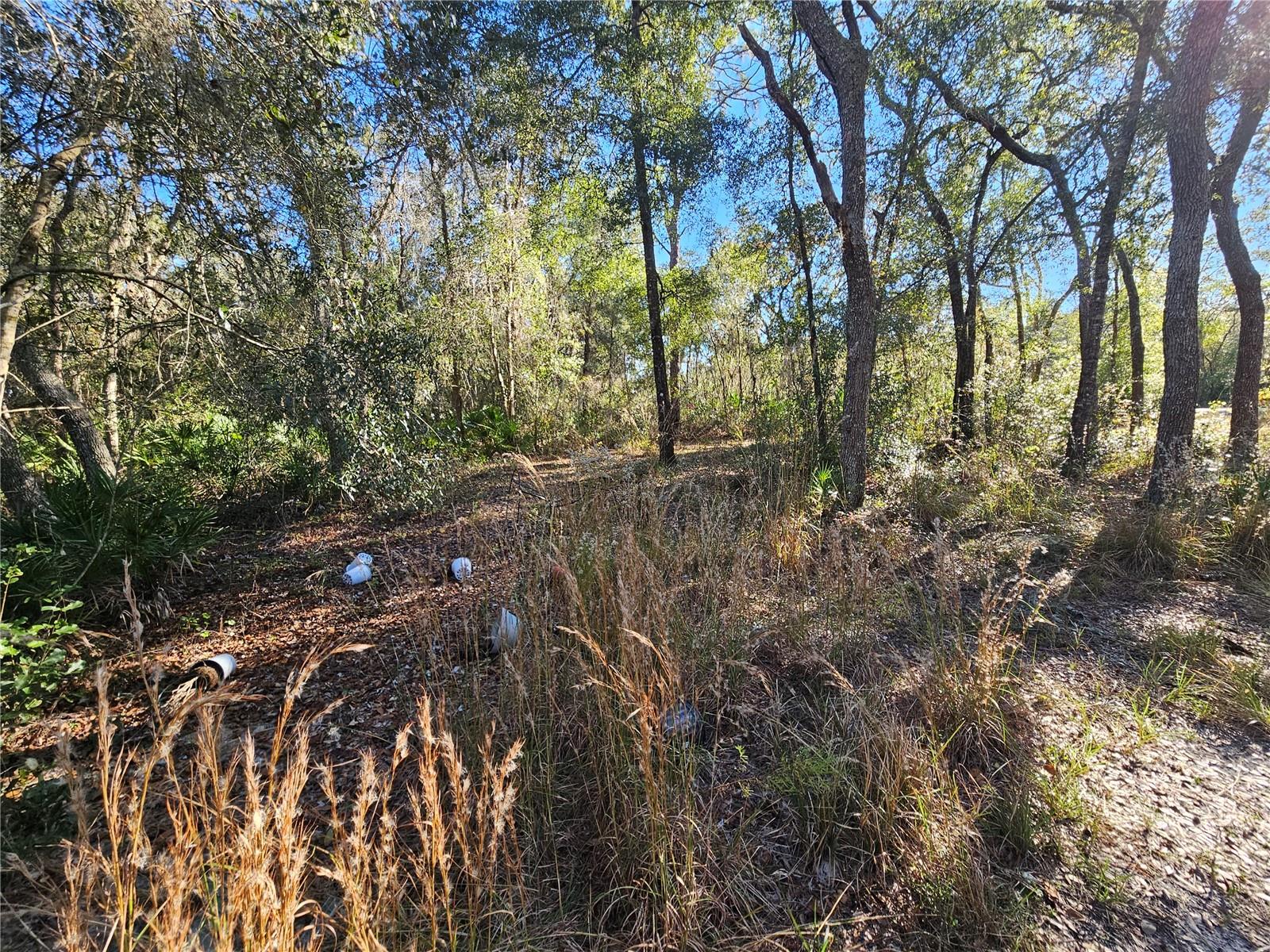 RIDGE MANOR ESTATE - Land