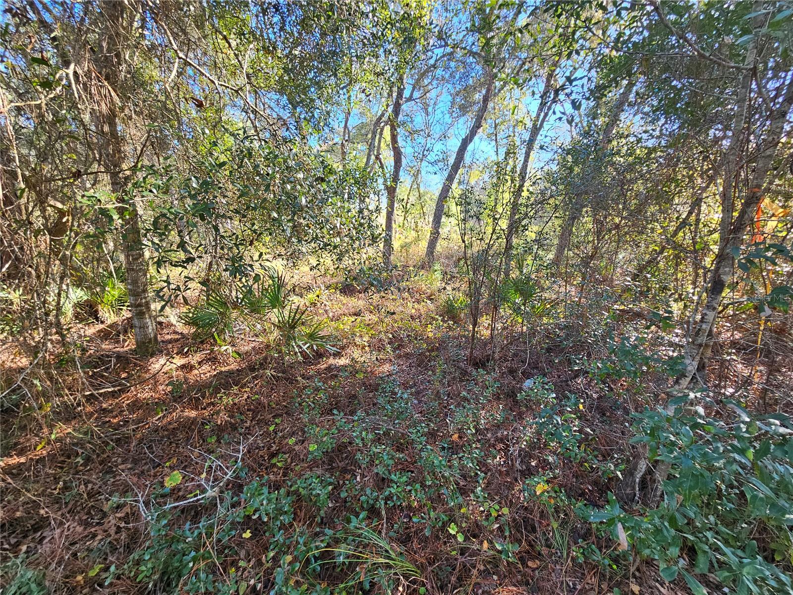 RIDGE MANOR ESTATE - Land