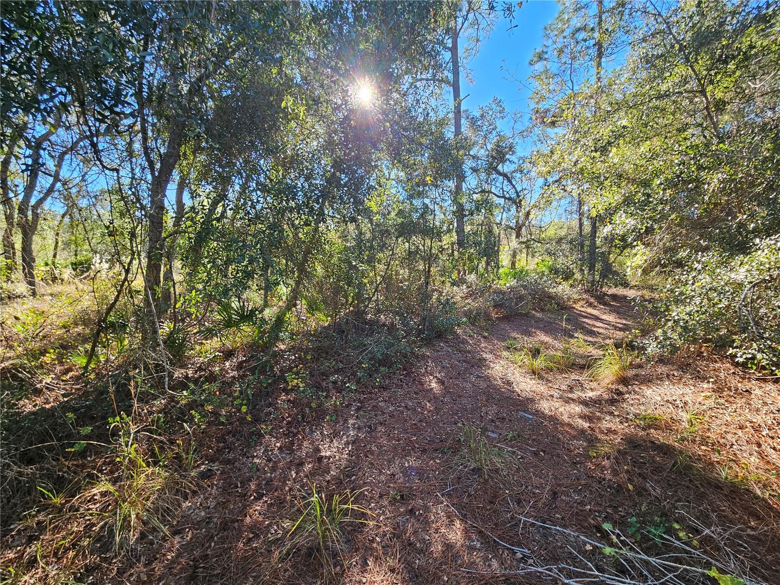 RIDGE MANOR ESTATE - Land