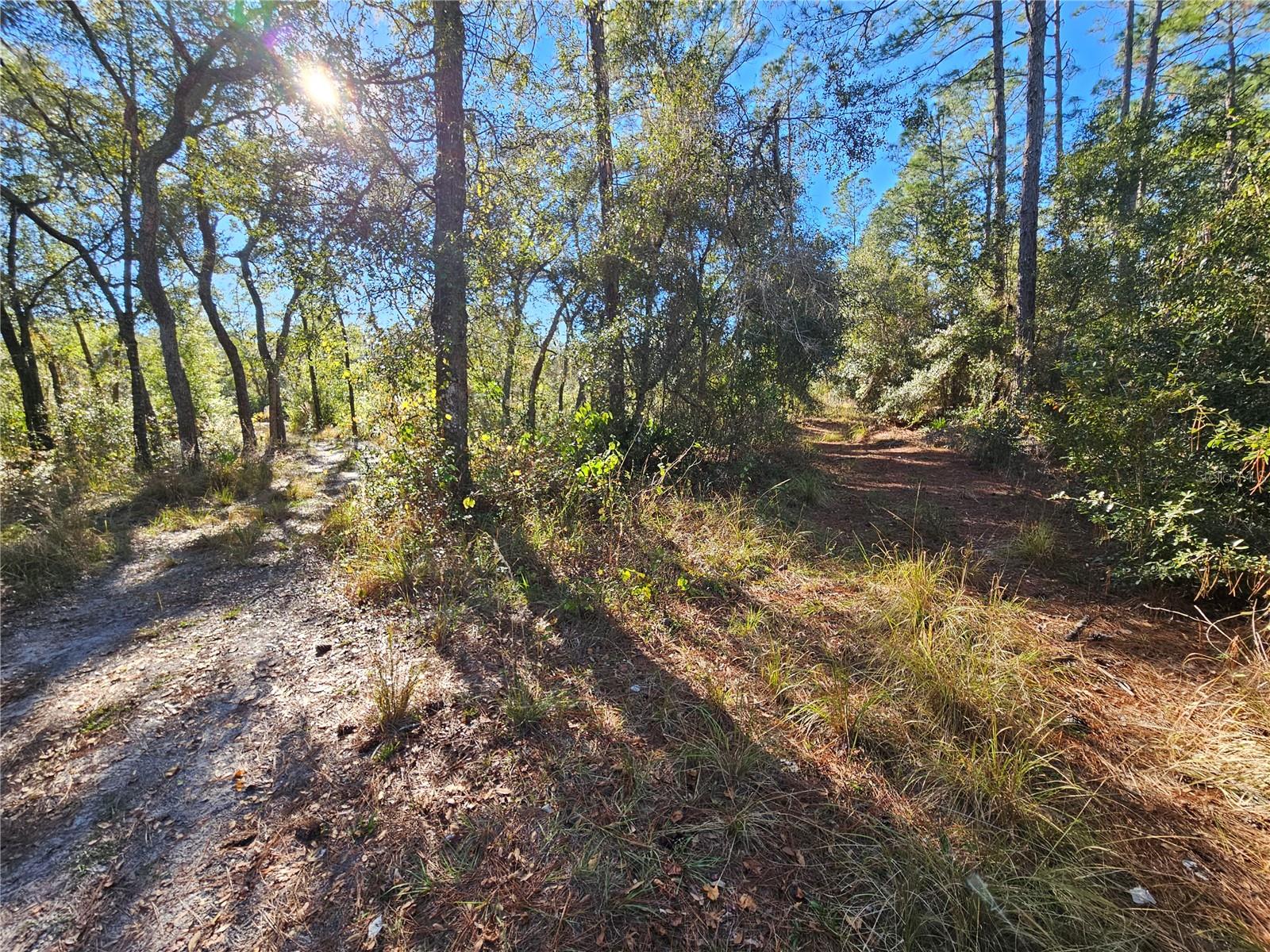 RIDGE MANOR ESTATE - Land