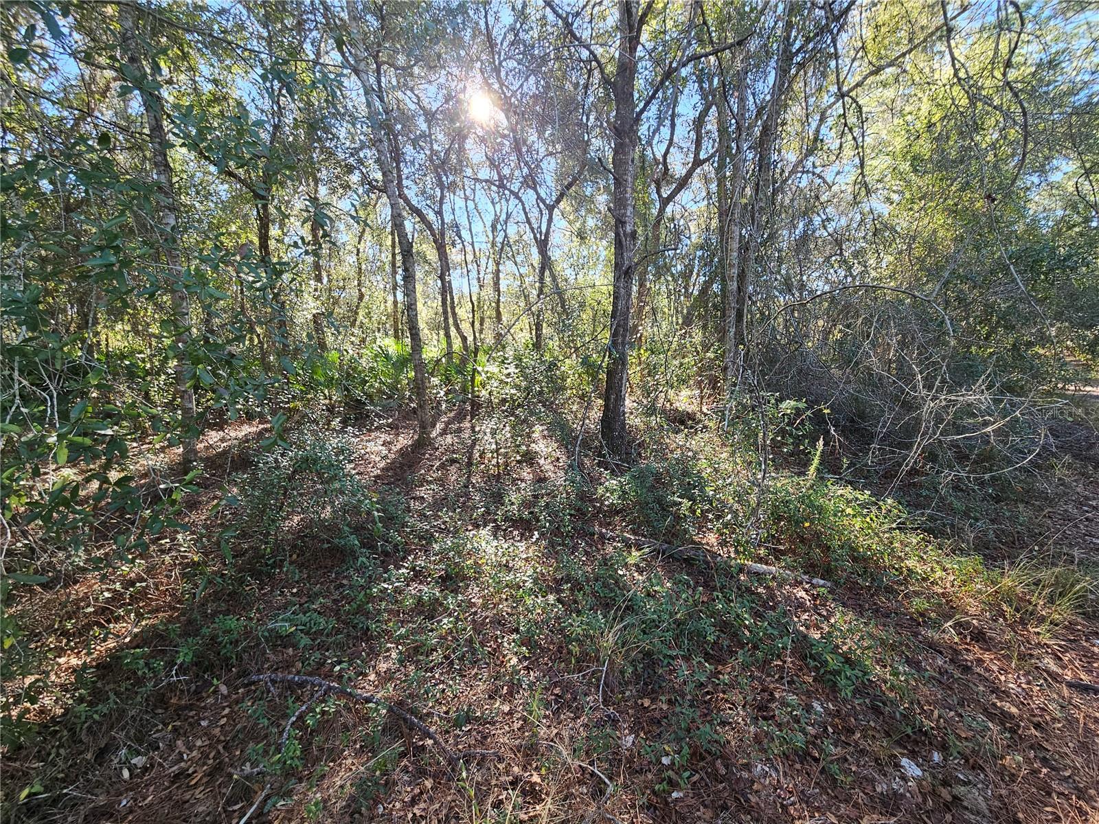 RIDGE MANOR ESTATE - Land