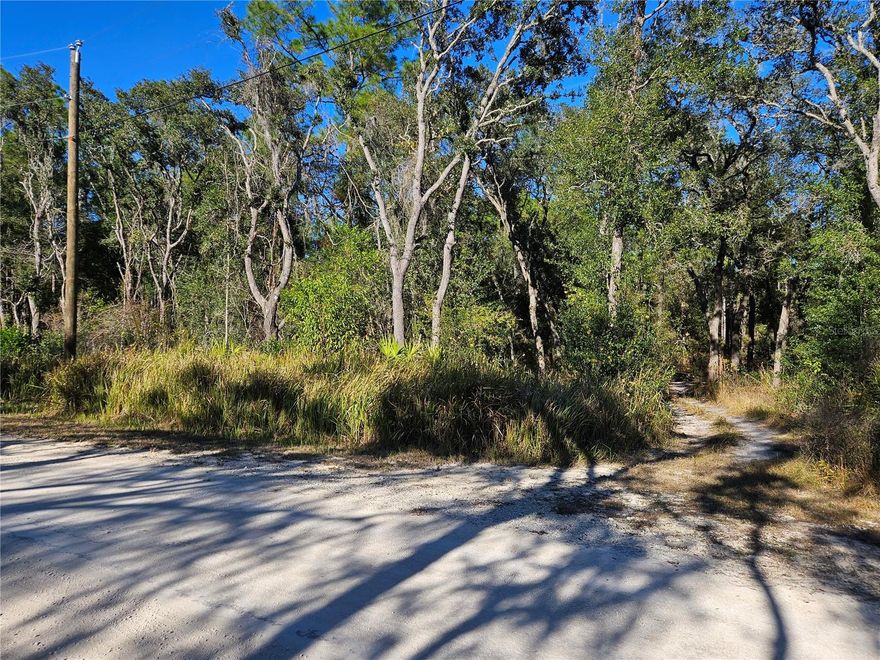 Build your dream home on this .30 ACRE wooded lot. This virgin land is ready for your new construction or buy now and build later. Build at your own pace! There are no time constraints on building. Rear property line borders a county owned drainage canal that can give lake access when the water level is up and offers no back yard neighbors . Site built homes or modular homes permitted. No mobile homes allowed. Located within 15 minutes from 100,000+ acres of public forest recreation area which offers camping , hiking, boating, canoeing, kayaking, hunting, and fishing. Wanna go to the beach... Gulf beach is only 45 minutes away. Only 57 miles to Disney and Orlando attractions. Easy access to I-75 in with an easy 38 mile commute to Tampa.